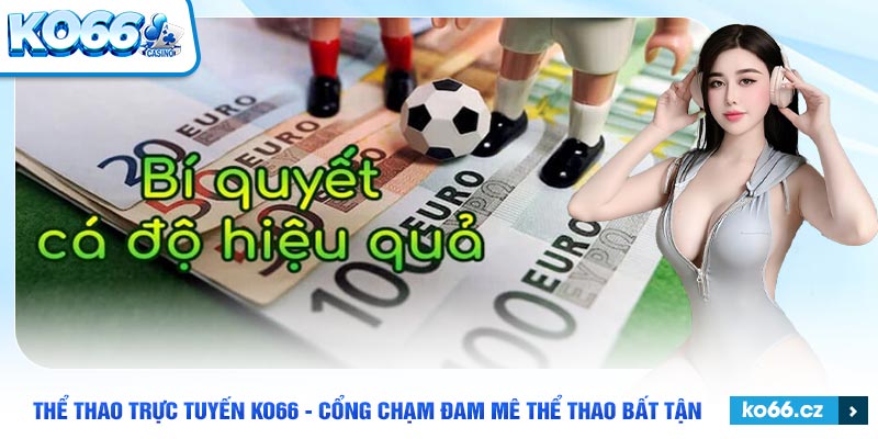 Các môn thể thao đa dạng trên cổng KO66, từ bóng đá đến võ thuật.