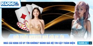 nhà cái KO66 có uy tín không - ảnh đại diện